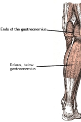 leg-exercises-4
