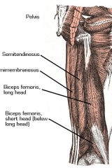 leg-exercises-3