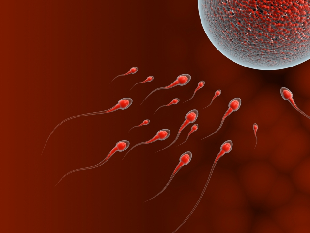 Biking and Sperm Health